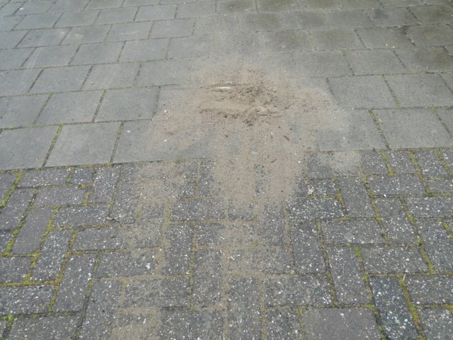 Koninginnedag 2010 020.jpg